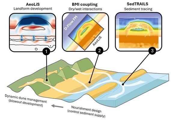 Conceptual overview of sediment pathways from a lagoon-based nourishment into the backdune, assessed using an interdisciplinary modelling approach: (1) AeoLiS for subaerial landform development, (2) BMI coupling for wet–dry interactions, and (3) SedTRAILS for sediment tracing.