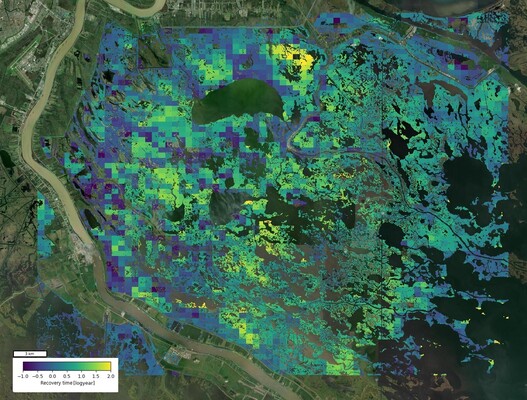 Figure 1. Recovery time of tidal marshes after Hurricane Katrina. Recovery time is derived from NDVI time series (Landsat 5). The represented recovery time shows large spatial variability within the area of interest.