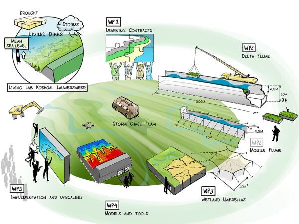 Living Dikes - living dikes