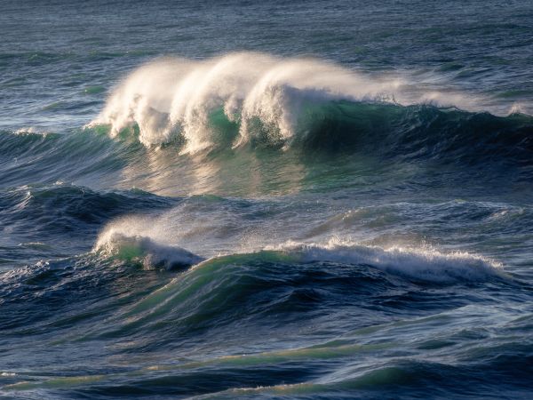 Book of abstracts NCK days