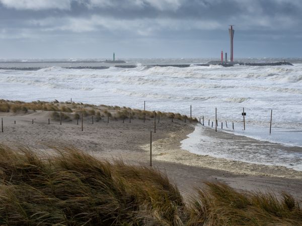 Repositories NCK partners